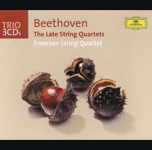 Beethoven: The Late String Quartets - Ludwig van Beethoven