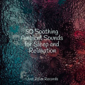 50 Soothing Ambient Sounds for Sleep and Relaxation - Nursery Rhymes Club
