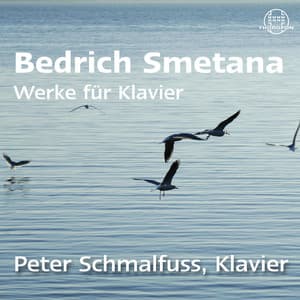 Smetana: Werke für Klavier, Vol. 2 - Bedřich Smetana