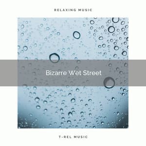 Bizarre Wet Street - Total ASMR