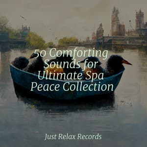 50 Comforting Sounds for Ultimate Spa Peace Collection - Massage Therapy Music