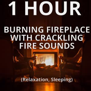 1 Hour Burning Fireplace with Crackling Fire Sounds - Fireplace Sounds