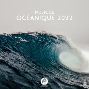 Musique océanique 2022: Des sons relaxants pour le sommeil, La relaxation et la méditation - Musique Zen!
