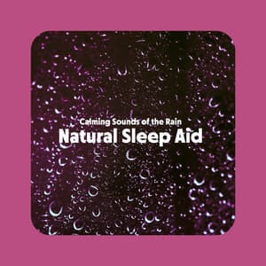 Calming Sounds of the Rain - Sounds of Nature Kingdom