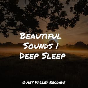 Beautiful Sounds | Deep Sleep - Música para Relaxar Maestro