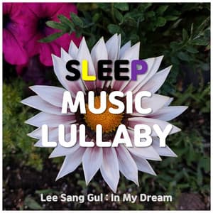 Sleep Music Lullaby - ASMR