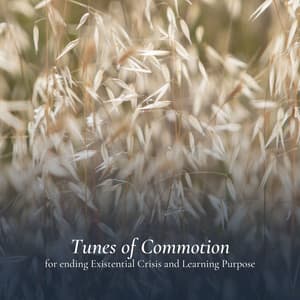 Tunes of Commotion for ending Existential Crisis and Learning Purpose - White Noise Android