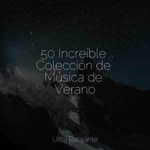 50 Increíble Colección de Música de Verano - Lluvia PQ