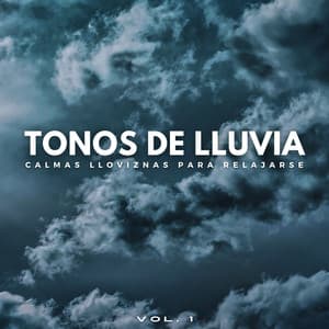 Tonos De Lluvia: Calmas Lloviznas Para Relajarse Vol. 1 - Efectos especiales de sonidos de lluvia