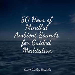 50 Hour of Mindful Ambient Sounds for Guided Meditation - Entspannungsmusik