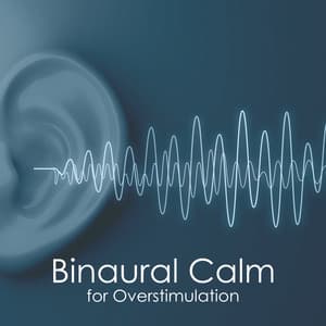 Binaural Calm for Overstimulation - Alan Samhita