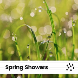 Spring Showers - Rainforest Ambience