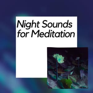 Night Sounds for Meditation - Nature Meditation Channel