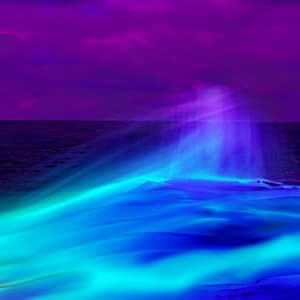 Wave Wellness: Rejuvenating with Vibrational Waves - Chakra Sound Bath