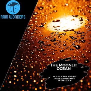 The Moonlit Ocean - Blissful Rain Nature Sounds for Coffee Break, Vol. 4 - Rain Sounds
