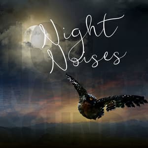 Night Noises - Sleep Crickets