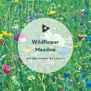 Wildflower Meadow - Nature Sounds by Lullify