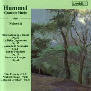 Hummel: Chamber Music, Vol. 2 - Johann Nepomuk Hummel