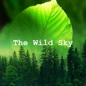 The Wild Sky - Calming for Dogs