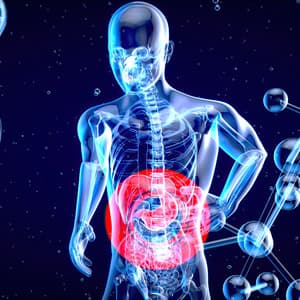 Digestive Healing for a Healthy Gut: Frequency Treatment for Stomach Relief and System Cleanse - Healing Energy Frequencies
