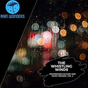 The Whistling Winds - Mesmerised Nature and Rainy Sounds, Vol. 2 - Rain Sounds