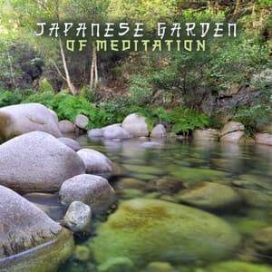 Japanese Garden of Meditation: Zen Spa - Spa Zen Meanings