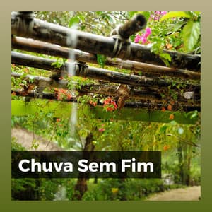 Chuva Sem Fim - Sons da natureza HD