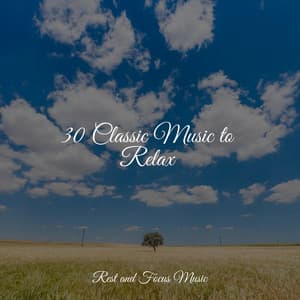 30 Classic Music to Relax - Classical Study Music