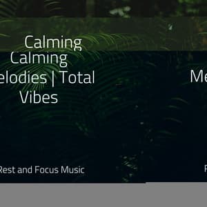 Calming Melodies | Total Vibes - Deep Focus