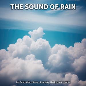 The Sound of Rain for Relaxation, Sleep, Studying, Background Noise - Rain Sounds