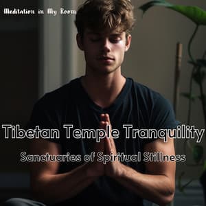 Tibetan Temple Tranquility: Sanctuaries of Spiritual Stillness - Meditation in My Room
