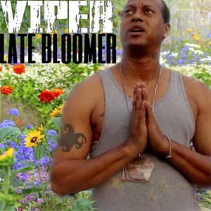 LATE BLOOMER - Viper