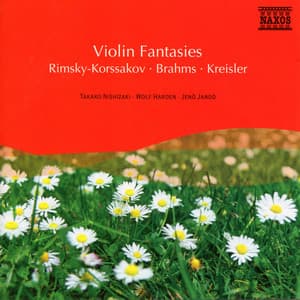 Violin Fantasies - Takako Nishizaki
