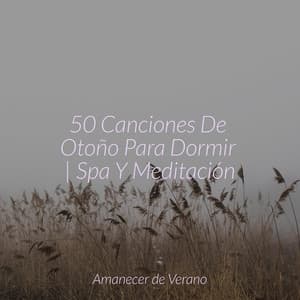 50 Canciones De Otoño Para Dormir | Spa Y Meditación - Musica Reiki