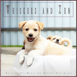 Whiskers and Zen: Relaxing Pet Music for Restful Dog Sleep - Dog Music Experience