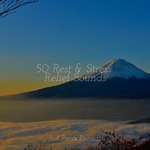 50 Rest & Stress Relief Sounds - Musica Romantica