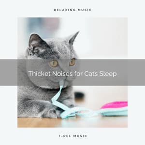 Thicket Noises for Cats Sleep - Music For Cats