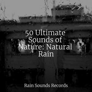 50 Ultimate Sounds of Nature: Natural Rain - Relaxing Mindfulness Meditation Relaxation Maestro