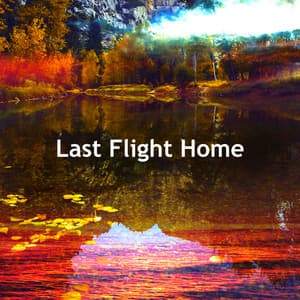 Last Flight Home - Sounds Of Nature