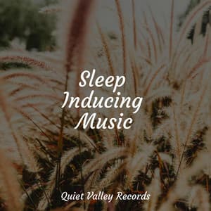 Sleep Inducing Music - Nature Ambience