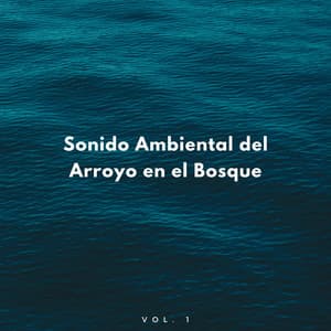 Sonido Ambiental Del Arroyo En El Bosque Vol. 1 - Arroyos Ventosos
