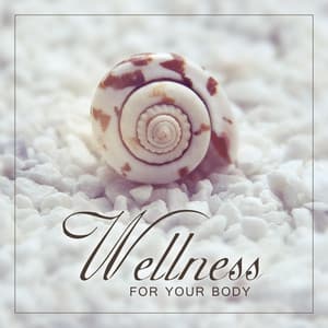 Wellness for Your Body - Real Massage Music Collection