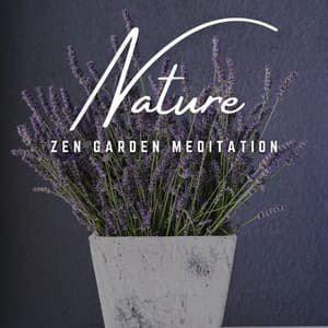Zen Garden Meditation: Earthly Serenity - The Nature Soundscapes