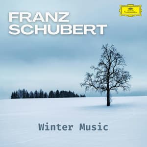 Schubert: Winter Music - Franz Schubert