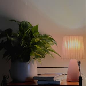 360 Awareness: Boundless Dawns - Spa Music Relaxation