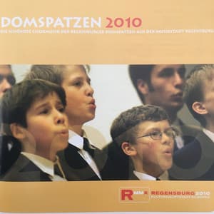 Domspatzen 2010 - Die schönste Chormusik der Regensburger Domspatzen aus der Musikstadt Regensburg - Regensburger Domspatzen