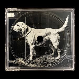 Über den Hügeln der Fantasie schlafen - Hundemusik