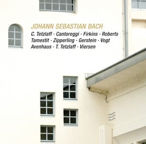 Johann Sebastian Bach: Brandenburg Concerto No. 6 - Viola da Gamba Sonata - Trio Sonata - Violin Sonata in F Minor - Johann Sebastian Bach