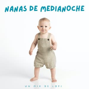 Nanas De Medianoche: Un Mix De Lofi - Beats de baja fidelidad para dormir