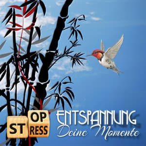 Stop Stress Entspannung: Deine Momente - Einschlafen